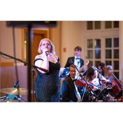 30th Diplomatic Ball