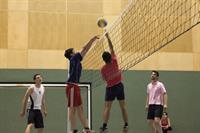 Sports at the Vienna School of International Studies