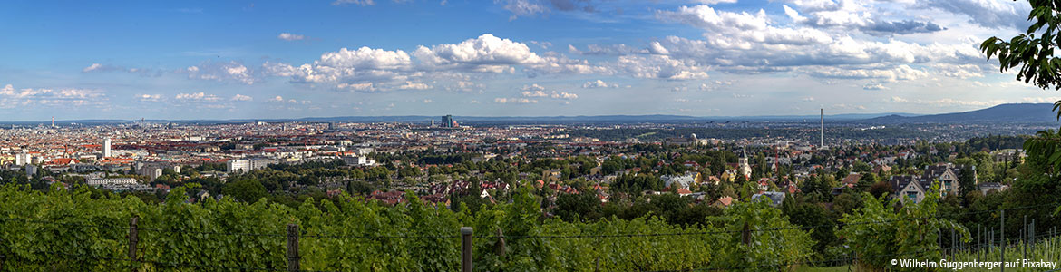 Vienna panorama