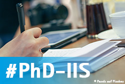 #PhD-IIS (© Pexels auf Pixabay)
